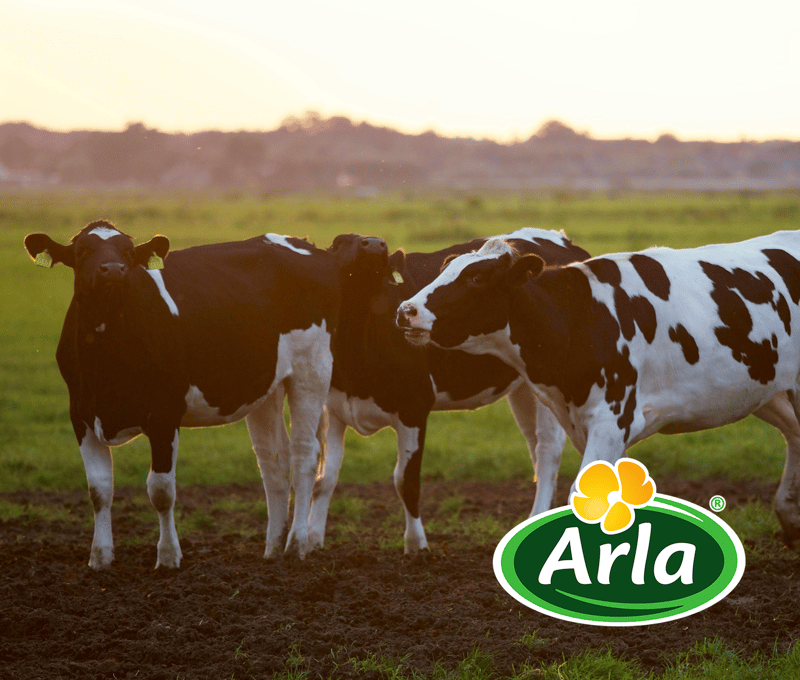 Citat Arla-1