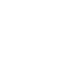 Lokal tilstedeværelse